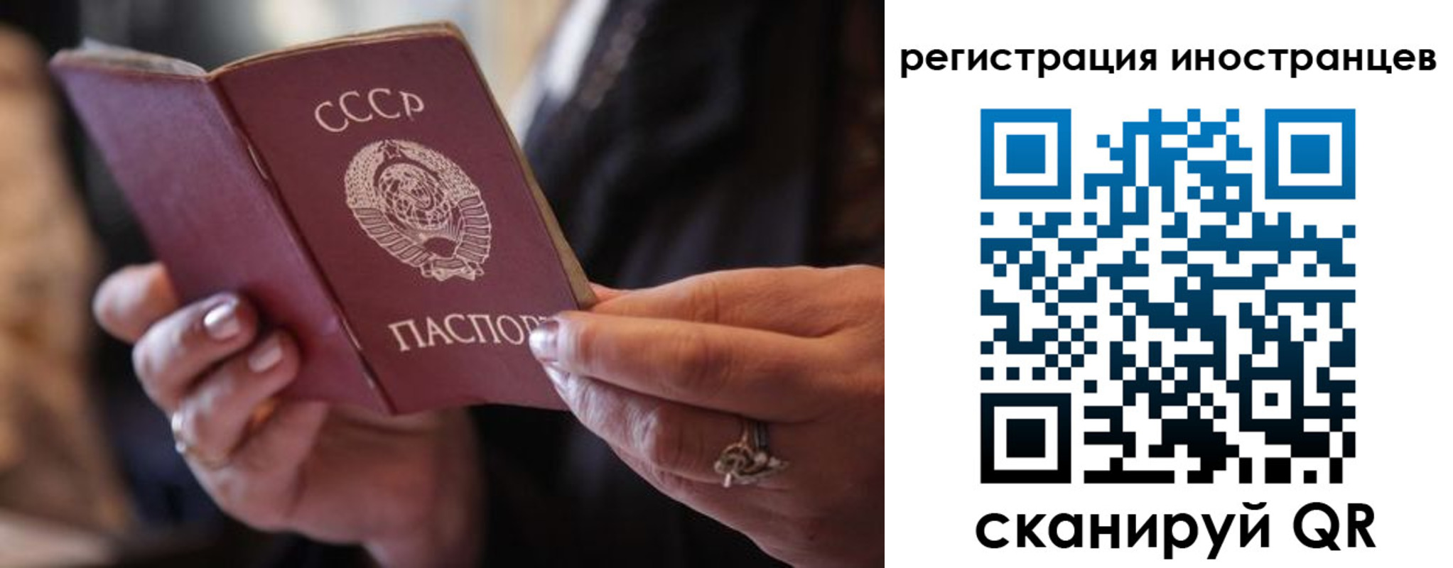 где прописаться в Мончегорске